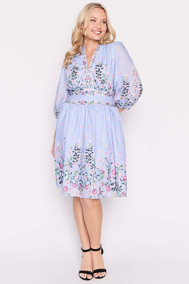 Abbie Sky Dancing Clover Dress – Sky Dancing Clover knee length dress