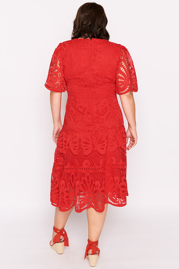 Nicolla Red Lace Dress – Red Lace midi dress