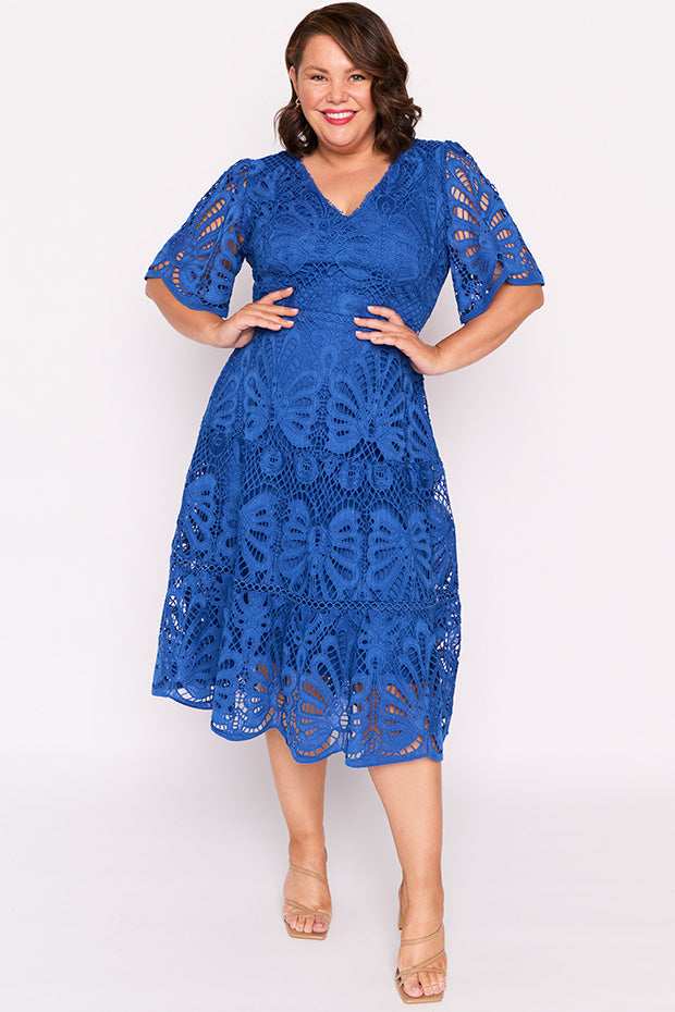 Nicolla Cobalt Lace Dress – Cobalt Lace midi dress