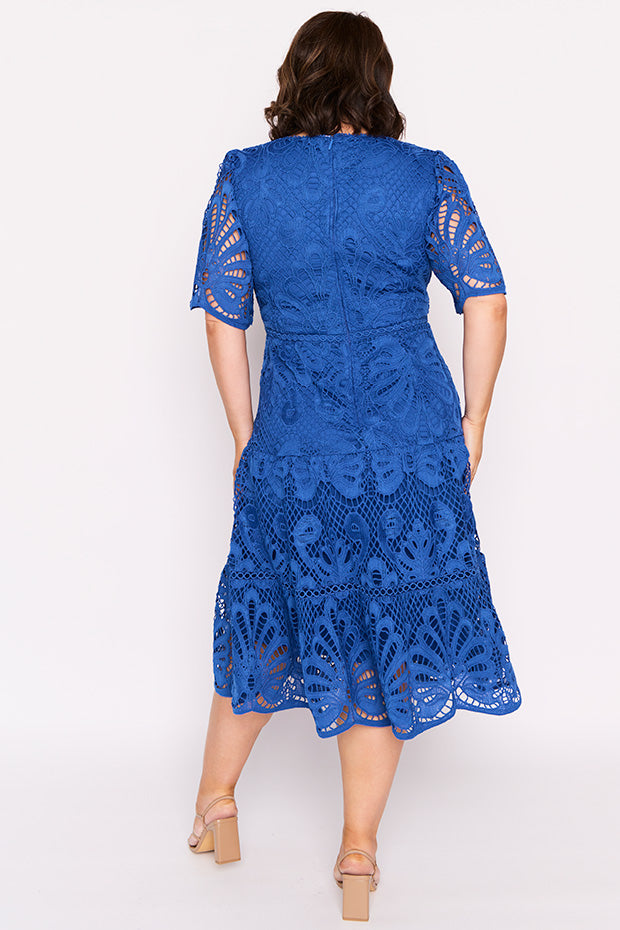 Nicolla Cobalt Lace Dress – Cobalt Lace midi dress
