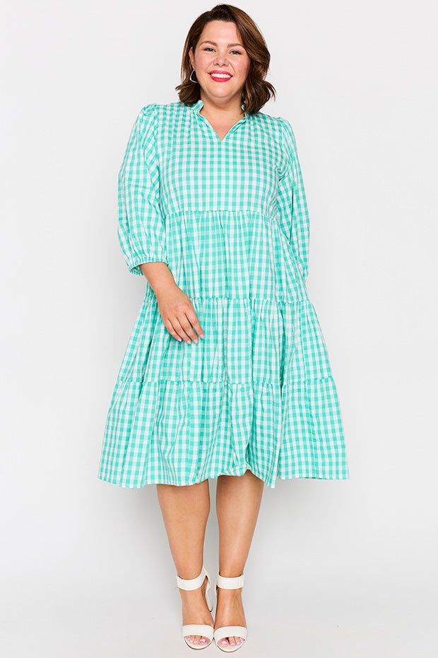 Crystal Jade Gingham Dress – Jade Gingham midi dress