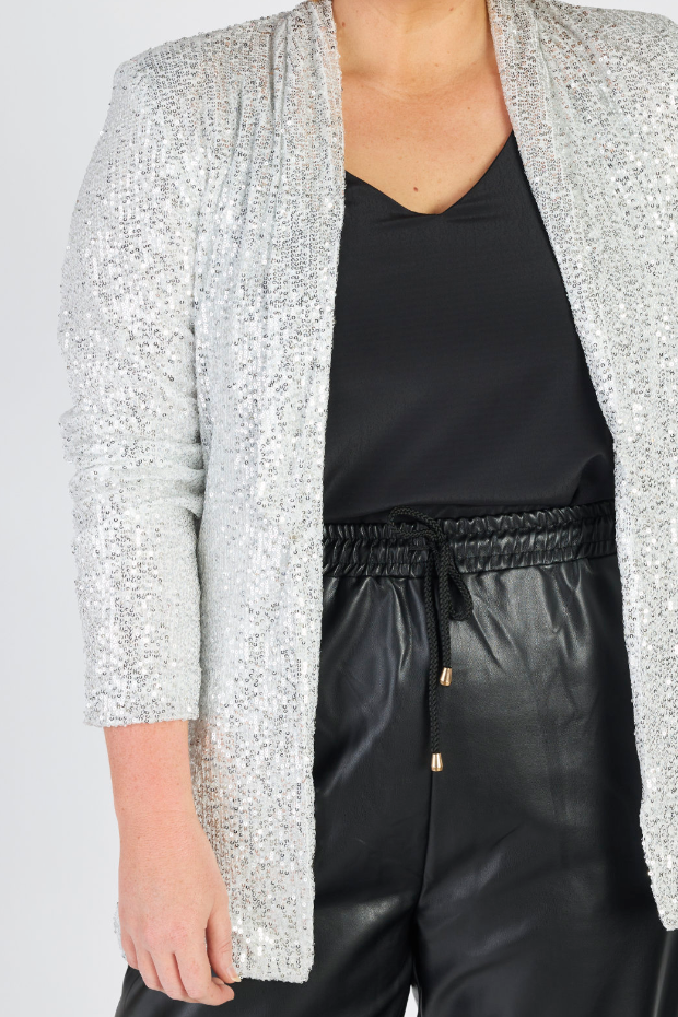 Ladies 2025 silver blazer